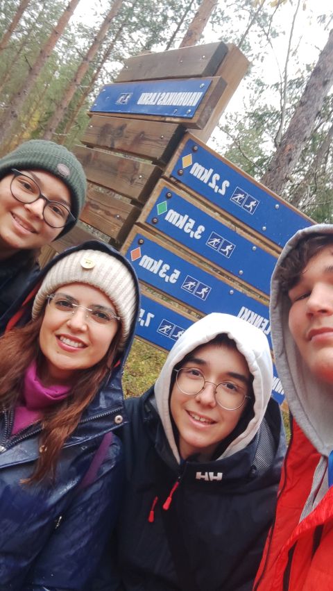 Finland Forest