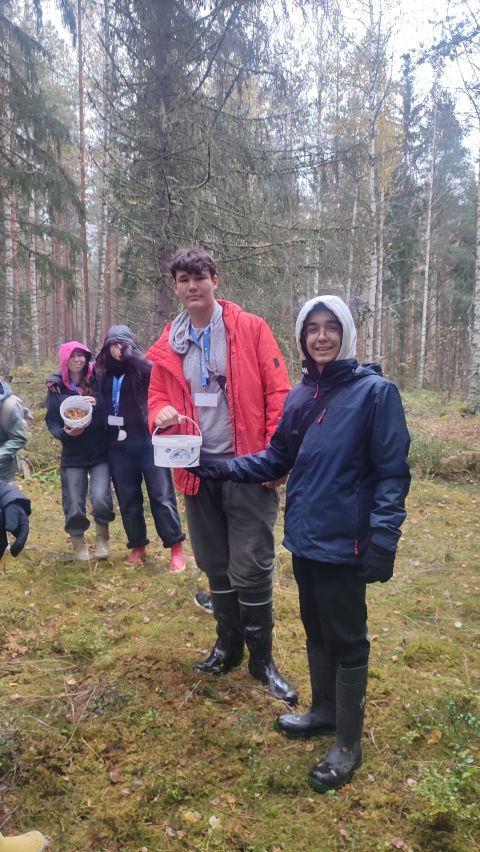 Finland Nature
